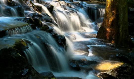 cover 2 คน 4 ขา ถือกล้องเข้าป่า ตามหาน้ำตก @ อุทยานแห่งชาติน้ำตกสามหลั่น