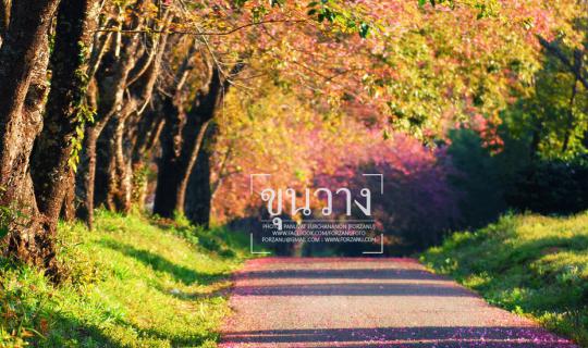 cover …เพราะหัวใจฉันอยากเดินทาง .. ฉันจึงต้องเดินทางไป ...จากทะเลหมอกแห่งขุนเขาสู่ทะเลครามฟ้าสดใส ..