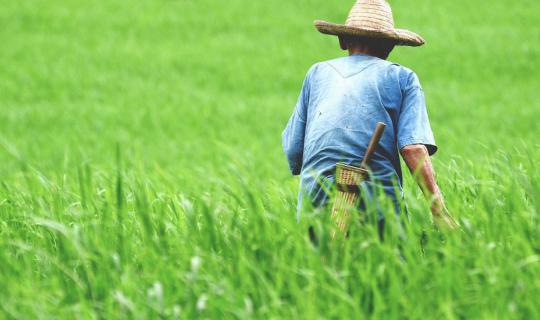 cover … “แม่แจ่ม” คืนวันฟ้าสั่งฝน เคล้าสายลมชุ่มฉ่ำเย็น ... วันฝนพรำกับบันทึกภาพจำในวันวาน...