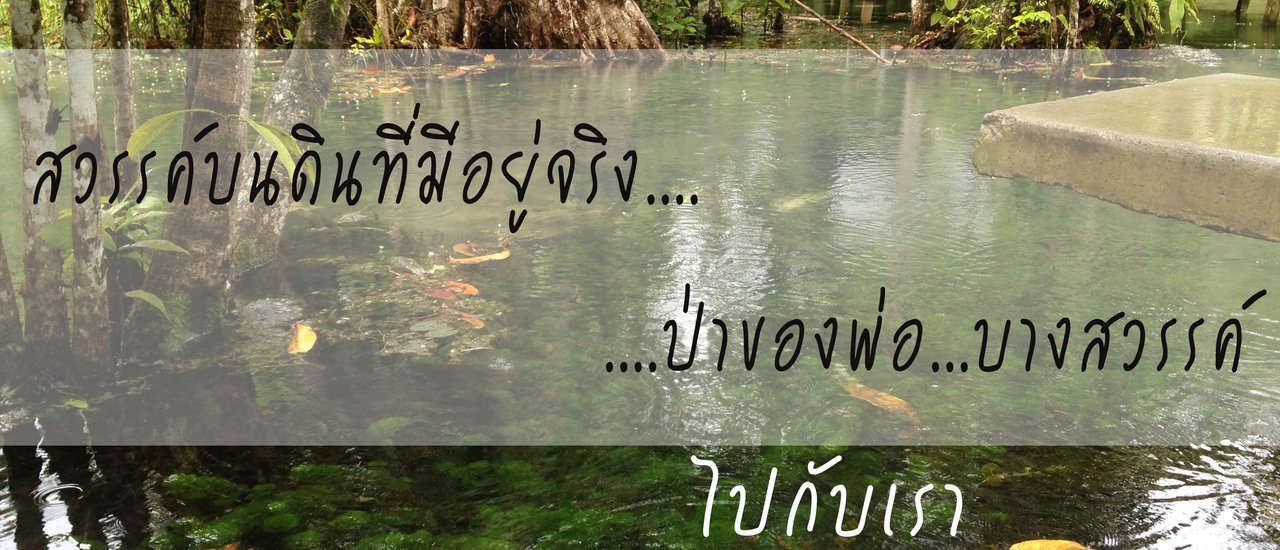 cover สวรรค์บนดินที่มีอยู่จริง....ป่าของพ่อ...บางสวรรค์