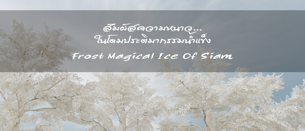 cover สัมผัสความหนาว... ในโดมประติมากรรมน้ำแข็งที่ใหญ่สุดในเอเชีย