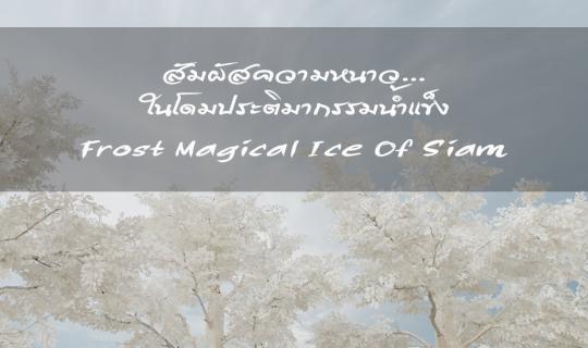 cover สัมผัสความหนาว... ในโดมประติมากรรมน้ำแข็งที่ใหญ่สุดในเอเชีย