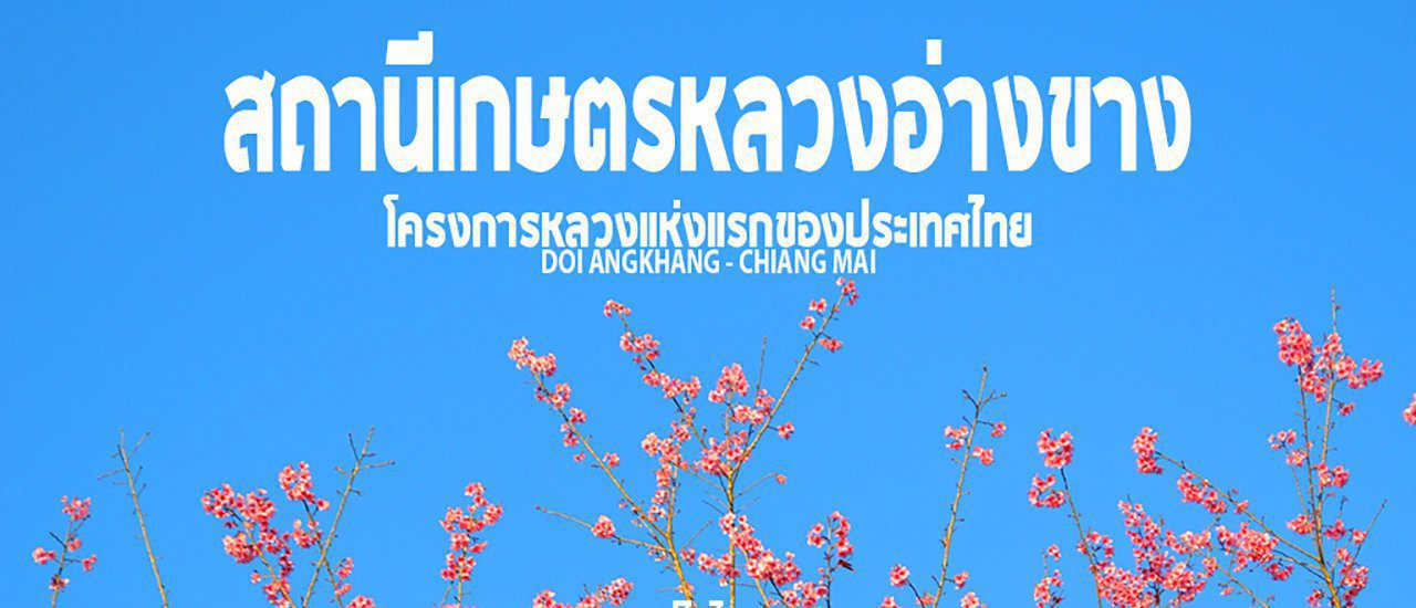 cover #ดอยอ่างขาง :: เที่ยวสถานีเกษตรหลวงอ่างขาง สถานีวิจัยแห่งแรกของโครงการหลวง