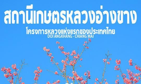 cover #ดอยอ่างขาง :: เที่ยวสถานีเกษตรหลวงอ่างขาง สถานีวิจัยแห่งแรกของโครงการหลวง