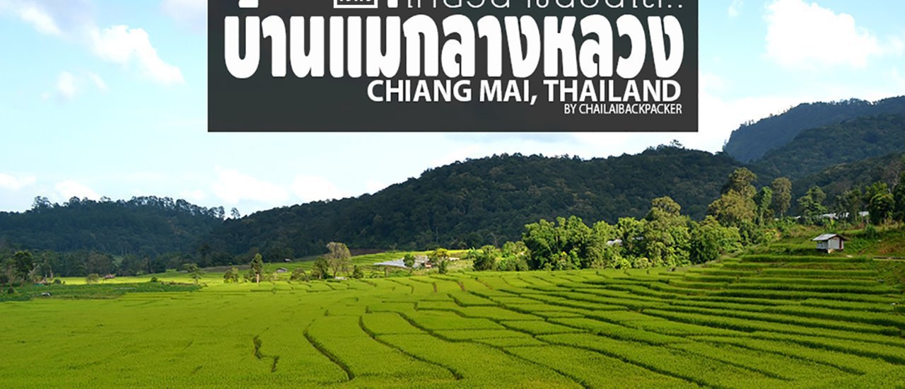 cover #บ้านแม่กลางหลวง :: เที่ยวนาขั้นบันได จิบกาแฟ ณ บ้านแม่กลางหลวง เชียงใหม่