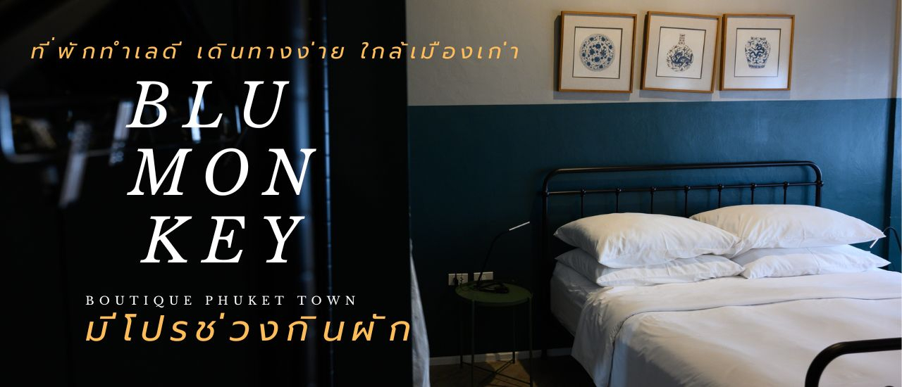 cover Blu Monkey Boutique Phuket Town and Origami Cafe ที่พักทำเลดี มีโปรเด็ดช่วงกินผักภูเก็ต  เดินทางง่าย ใกล้เมืองเก่า แม้ไม่มีรถยนต์ส่วนตัว