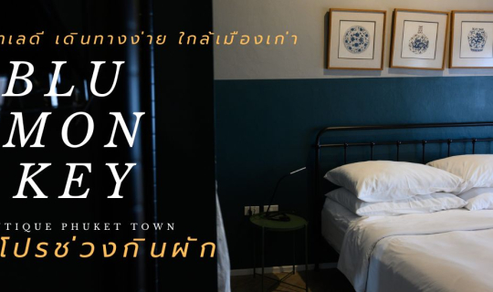 cover Blu Monkey Boutique Phuket Town and Origami Cafe ที่พักทำเลดี มีโปรเด็ดช่วงกินผักภูเก็ต  เดินทางง่าย ใกล้เมืองเก่า แม้ไม่มีรถยนต์ส่วนตัว