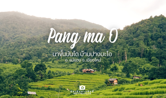 Cover Pang ma O นาขั้นบันได บ้านปางมะโอ  อ. แม่แตง จ. เชียงใหม่...