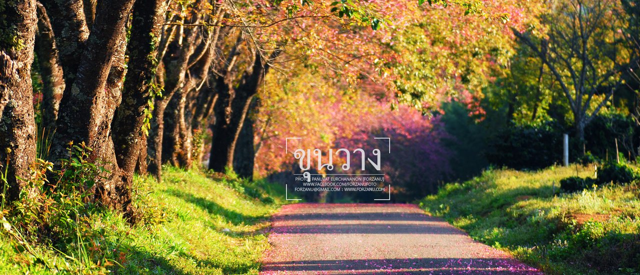 cover …Because my heart is calling for travel ... So I must start my journey ... From the astonishing mist and endless sea fog of the mountain to the crystal clear and blue sky of the sea ...