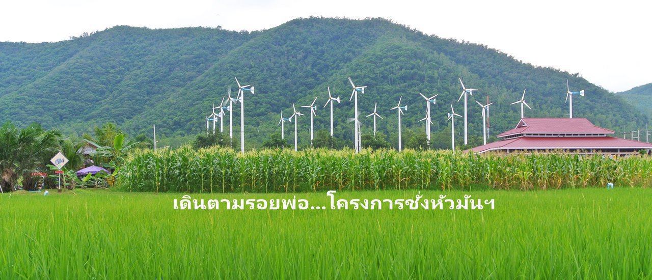 cover One Day Trip เดินตามรอยพ่อ ที่โครงการชั่งหัวมัน ตามพระราชดำริ