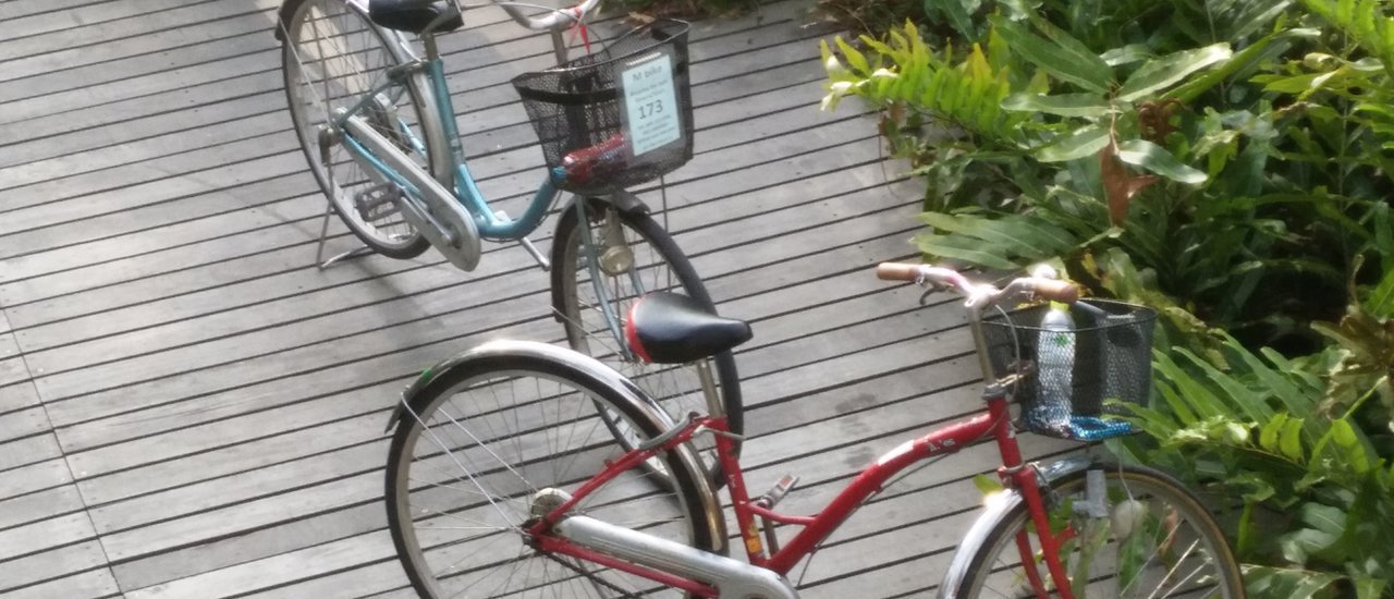 cover ปั่นจักรยานชิลๆ..สูดโอโซนธรรมชาติใกล้กรุง @บางกะเจ้า