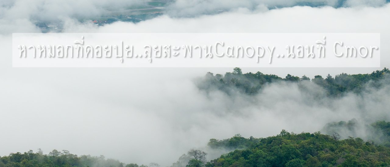 cover หาหมอกที่ดอยปุย..ลุยสะพานCanopy..นอนที่ Cmor