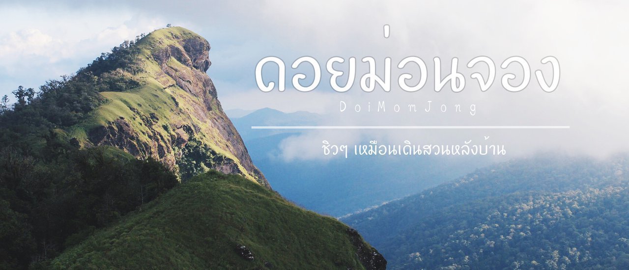 cover " ม่อนจอง " ชิวๆ เหมือนเดินสวนหลังบ้าน กับคนหลงป่า