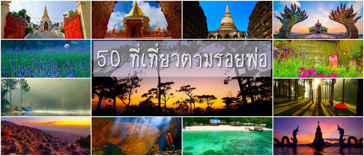 cover 50 ที่เที่ยว ตามรอยเท้าพ่อ...