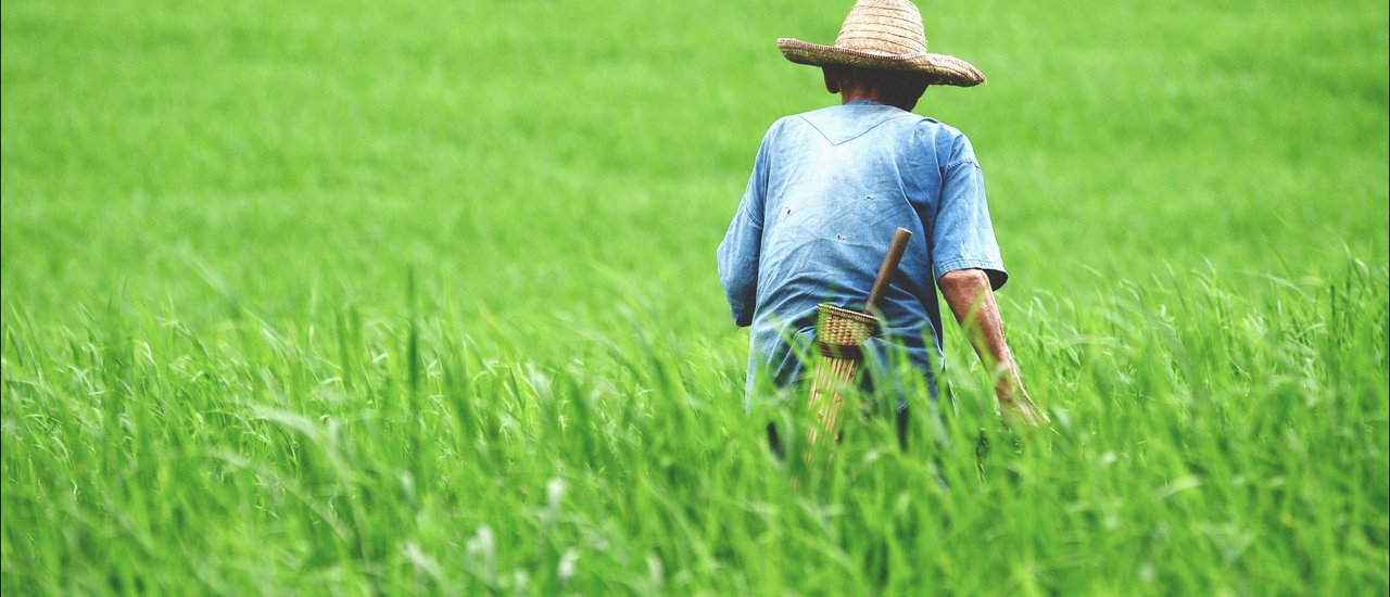 cover … " Mae Chaem" The raining night embraced with the slowly soft wind… the raining day with the memorial photos of the past…