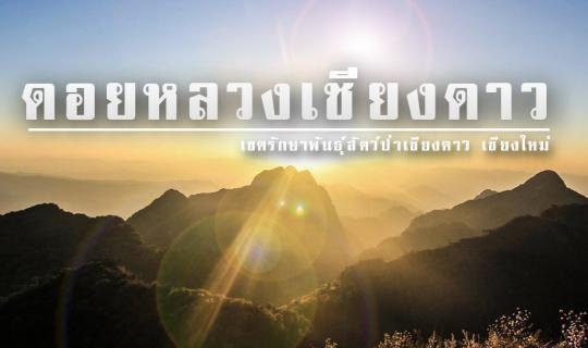 cover .:: เปิดฤดูพิชิต "ดอยหลวงเชียงดาว" มหัศจรรยแห่งเขาหินปูน ::.