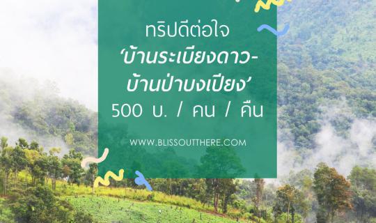 cover ทริปดีต่อใจ ‘บ้านระเบียงดาว-บ้านป่าบงเปียง’ 500 บ. / คน  / คืน (ไม่มีรถก็ไปได้)