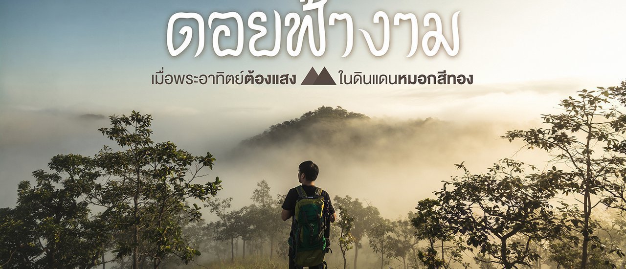 cover คนหลงทาง #10 : สะพายเป้เก็บของ... แล้วลองไป 'ขึ้นสวรรค์' ณ ดอยฟ้างาม... เมื่อพระอาทิตย์ต้องแสง ในดินแดนหมอกสีทอง
