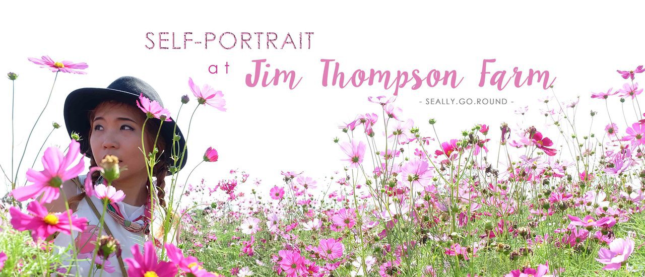 cover Self-Portrait ท้าแดดจ้า กลางทุ่งคอสมอส ที่ Jim Thompson farm