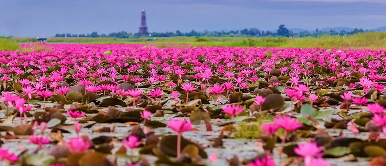 cover Dek Jew Chill Out @ Chiang Khan - Stop by the beautiful Red Lotus Sea before seeing the Sea of Fog at Phu Thok, stay at Chiang Khan Hill Resort with gorgeous view