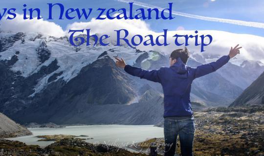 cover From the North to the South Island, 21-day Road Trip in New Zealand