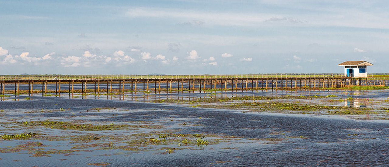 cover ~ * ~ * ~ * ~ * ~ ...Let’s go South ตอน : ไปเที่ยวหาดใหญ่ เลยต่อไปพัทลุง มุ่งสู่ปากประ ชมทุ่งดอกบัว ….~ * ~ * ~