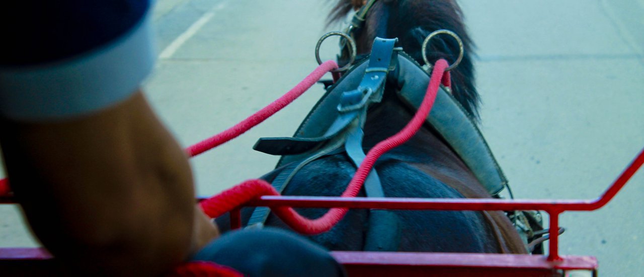 cover 2วัน1คืน ลุยเดี่ยวๆเที่ยวนครลำปาง เมืองที่ไม่เคยหมุนตามกาลเวลา(มีวีดีโอท้ายรีวิว)