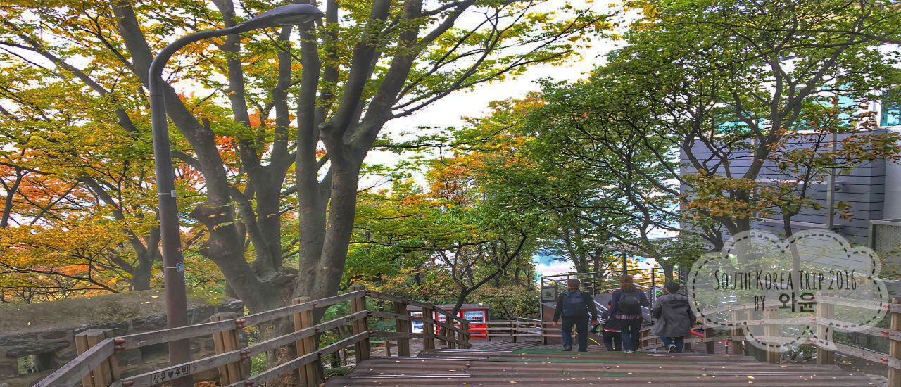 cover เกาหลีใบไม้เปลี่ยนสี....ทริปนี้มาเร็วไป