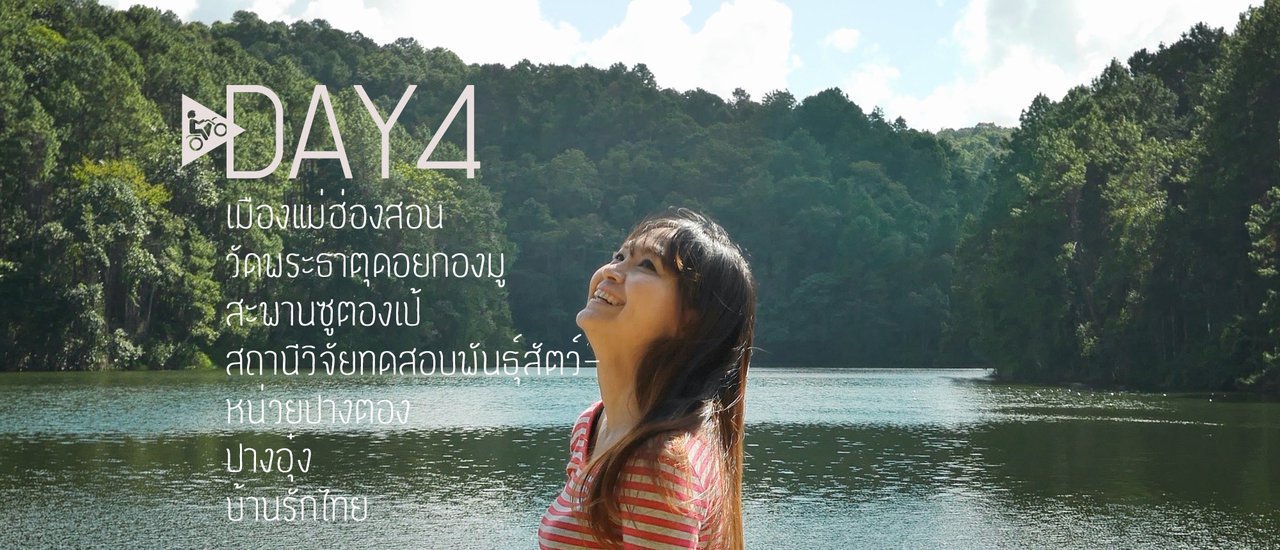 cover 7วัน วงกลมตามเข็ม เชียงใหม่-แม่ฮ่องสอน ::::::::Day4:::::::: เมืองแม่ฮ่องสอน วัดพระธาตุดอยกองมู สะพานซูตองเป้ สถานีวิจัยทดสอบพันธุ์สัตว์หน่วยปางตอง ปางอุ๋ง บ้านรักไทย