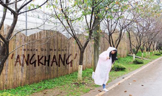 cover -  แบกเป้ขึ้นดอยอ่างขาง - ( EP0 : おはよう~  ถ่ายรูปชิคๆได้ ไม่ต้องไปไกลก็เหมือนอยู่ต่างประเทศ ' )