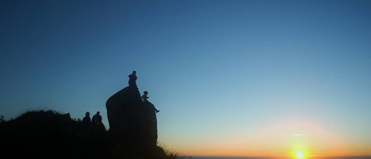 cover Into the woods โมโกจู สู่ผืนป่าตะวันตก