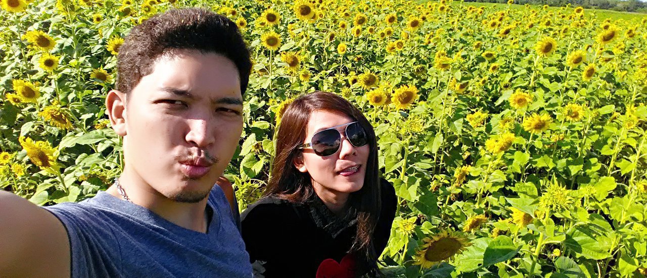 cover ทุ่งทานตะวัน @เขื่อนป่าสักชลสิทธิ์