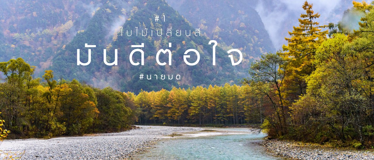 cover ใบไม้เปลี่ยนสีมันดีต่อใจ #1 : คารุอิซาว่า-กุนมะ-คามิโกจิ