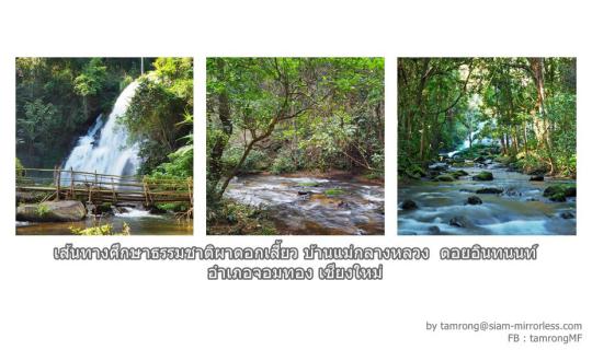 cover เส้นทางศึกษาธรรมชาติน้ำตกผาดอกเสี้ยว ดอยอินทนนท์ อำเภอจอมทอง เชียงใหม่