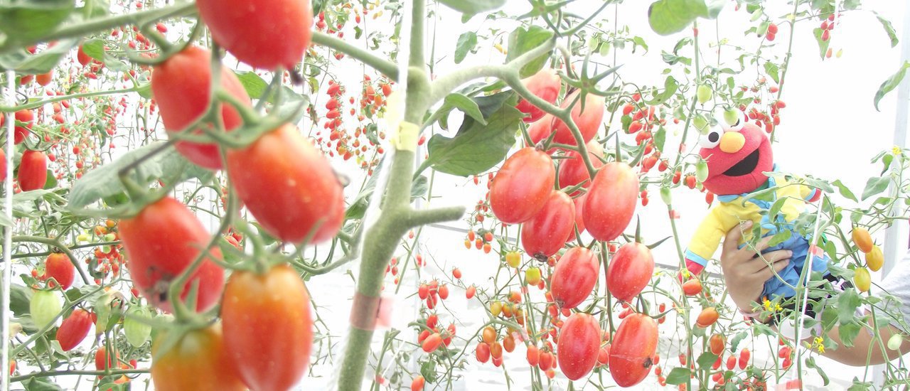 cover อยากมี(ฟาร์ม)รักต้องมาที่นี้ @ฟาร์มรักปากน้ำตาปี