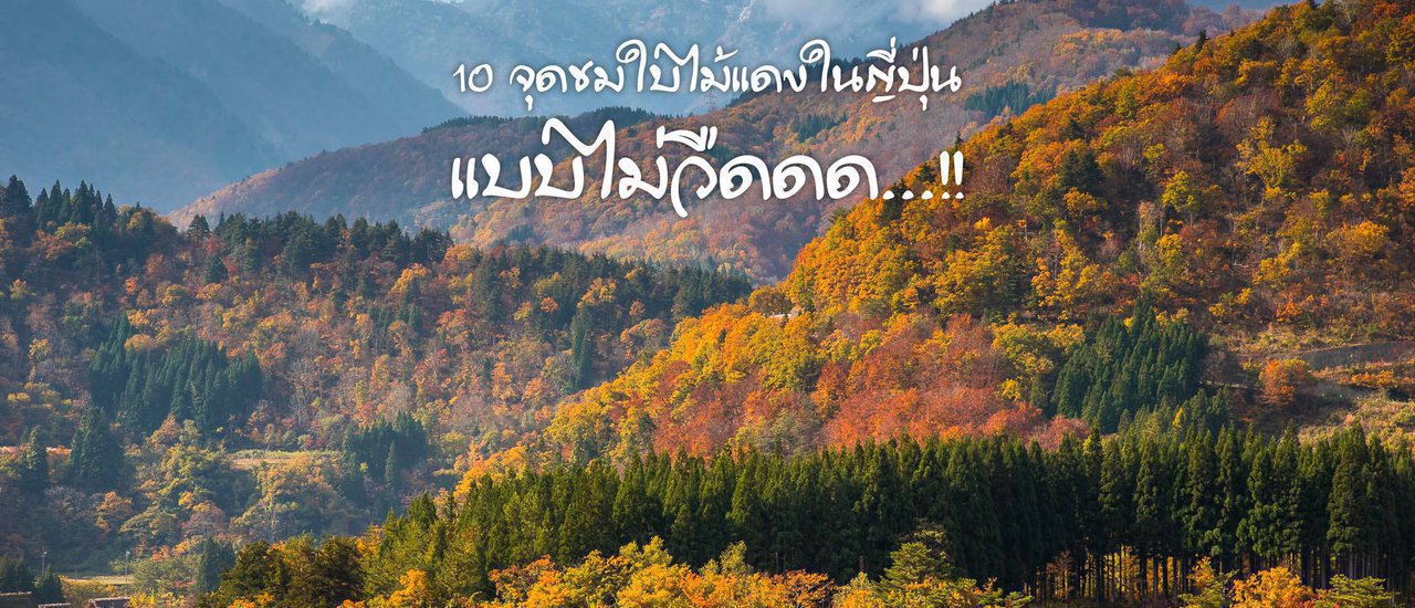 cover 10 จุดชมใบไม้แดงในญี่ปุ่นแบบไม่วืด
