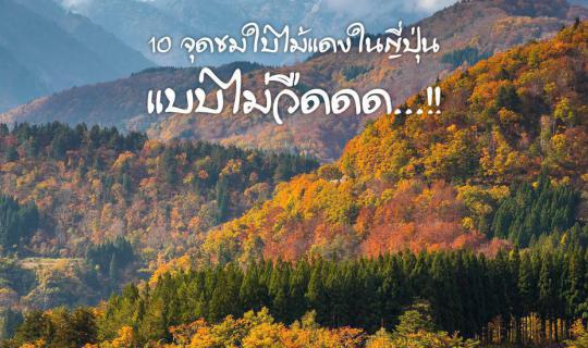 cover 10 จุดชมใบไม้แดงในญี่ปุ่นแบบไม่วืด