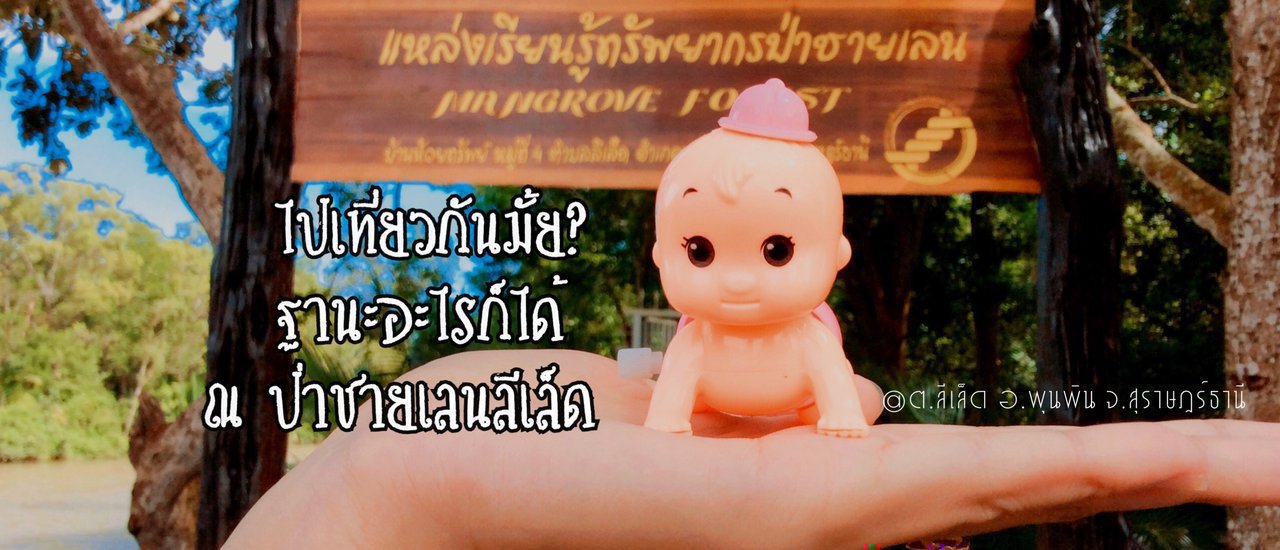 cover ไปเที่ยวกันมั้ย? (ฐานะอะไรก็ได้) ณ ป่าชายเลนลีเล็ด @สุราษฎร์ธานี