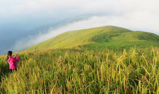 Cover “สวนยาหลวง” จ.น่าน ในวันที่รถขึ้นไม่ถึง | เก็บกระเป๋า...