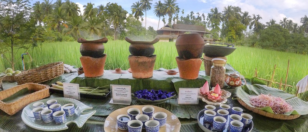 cover วันว่างๆ ไปเรียนรู้วิถีเกษตรอินทรีย์และเรียนทำอาหารแบบสดๆจากสวนออร์แกนิคใกล้กรุงเทพ