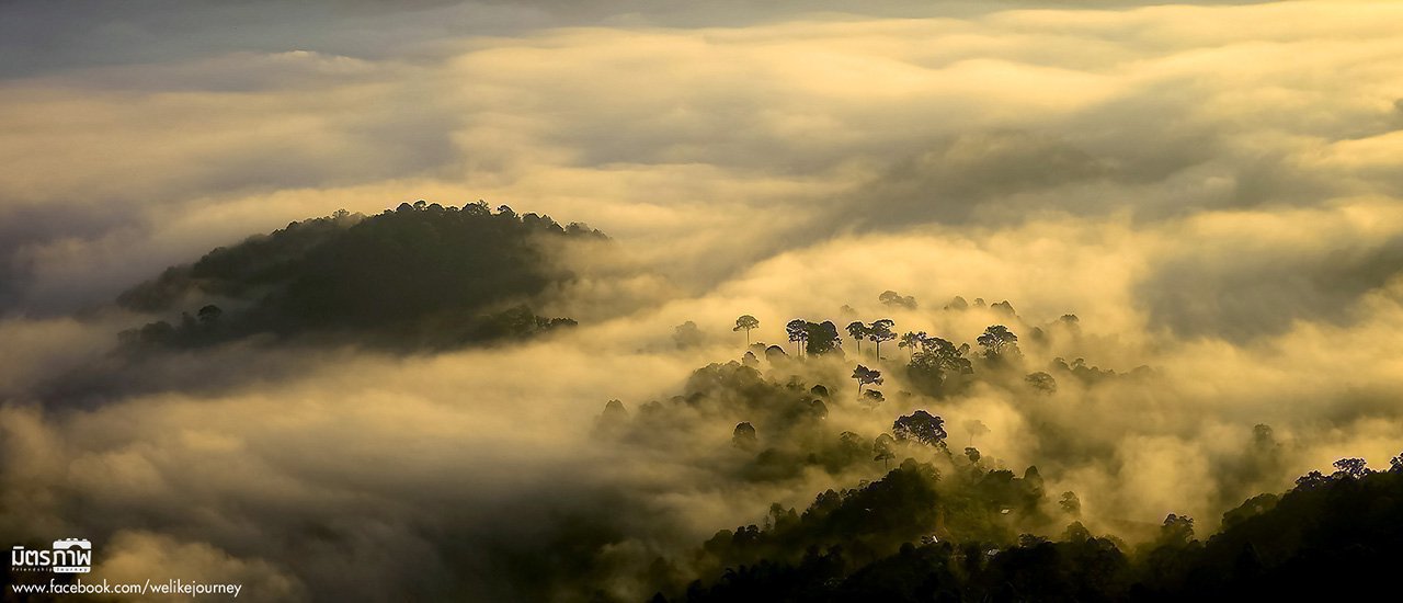 cover เชียงใหม่ 2 วัน 2 คืน | ตามรอยพ่อหลวง ที่ ศูนย์พัฒนาโครงการหลวงม่อนเงาะ