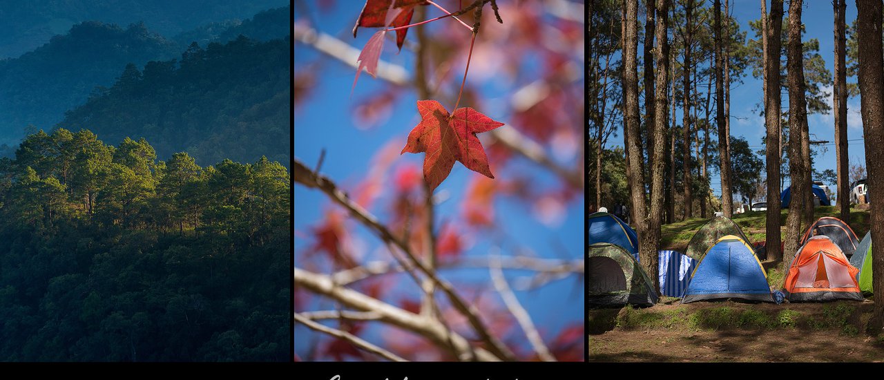 cover ไปพักผ่อนที่บ้านพ่อ โครงการหลวงอ่างขาง