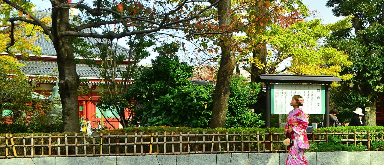 cover ทริปbackpack ใส่กิโมโนเที่ยวญี่ปุ่นครั้งแรก by หนีward มากอดฝัน