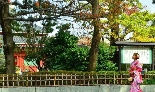 cover ทริปbackpack ใส่กิโมโนเที่ยวญี่ปุ่นครั้งแรก by หนีward มากอดฝัน