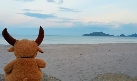 cover Slow Life  @ La A Natu Bed & Bakery Pranburi