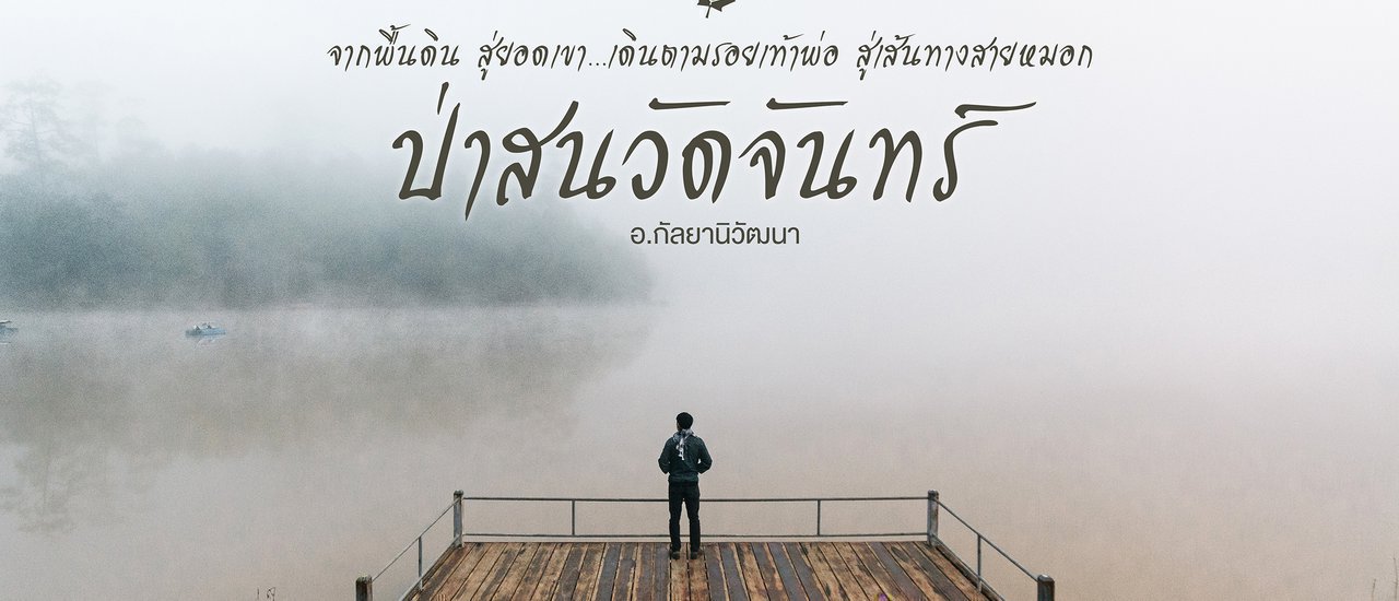 cover จากพื้นดิน สู่ยอดเขา...เดินตามรอยเท้าพ่อ สู่เส้นทางสายหมอก ณ ป่าสนวัดจันทร์