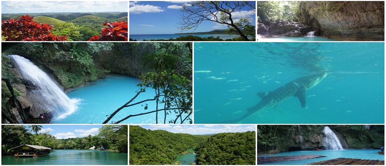 cover ว่ายน้ำเล่นกับฉลามวาฬ, Canyoneering น้ำตก Kawasan Falls 3 วัน 2 คืน รวมทุกอย่าง 15,000 บาท