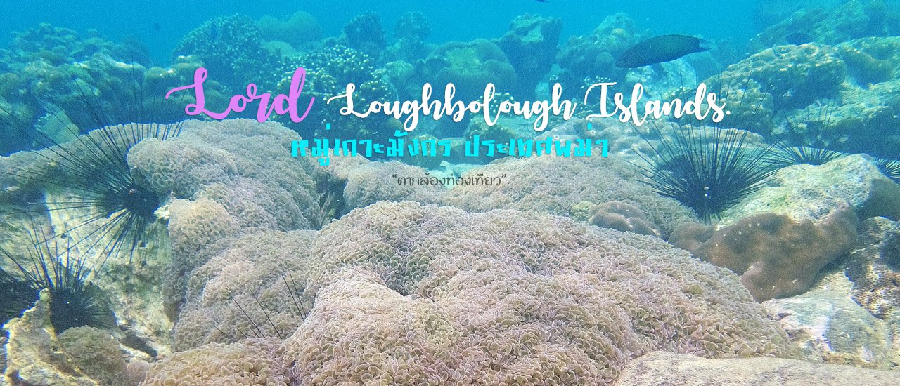 cover หมู่เกาะมังกร ทะเลพม่า ความงามอันเลอค่า ใต้ท้องทะเลสีมรกต