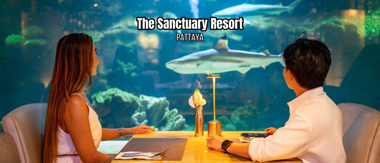 cover รีวิวเปิดประสบการณ์ทานข้าวกับน้องฉลามแบบใกล้ชิดสุดๆ The Sanctuary Resort Pattaya, BW Signature Collection โรงแรมที่มีอควาเรียมที่ใหญ่ที่สุดในพัทยา