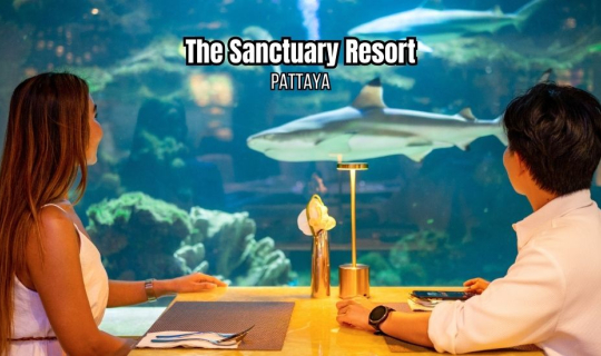 Cover รีวิวเปิดประสบการณ์ทานข้าวกับน้องฉลามแบบใกล้ชิดสุดๆ The Sanctuary Re...